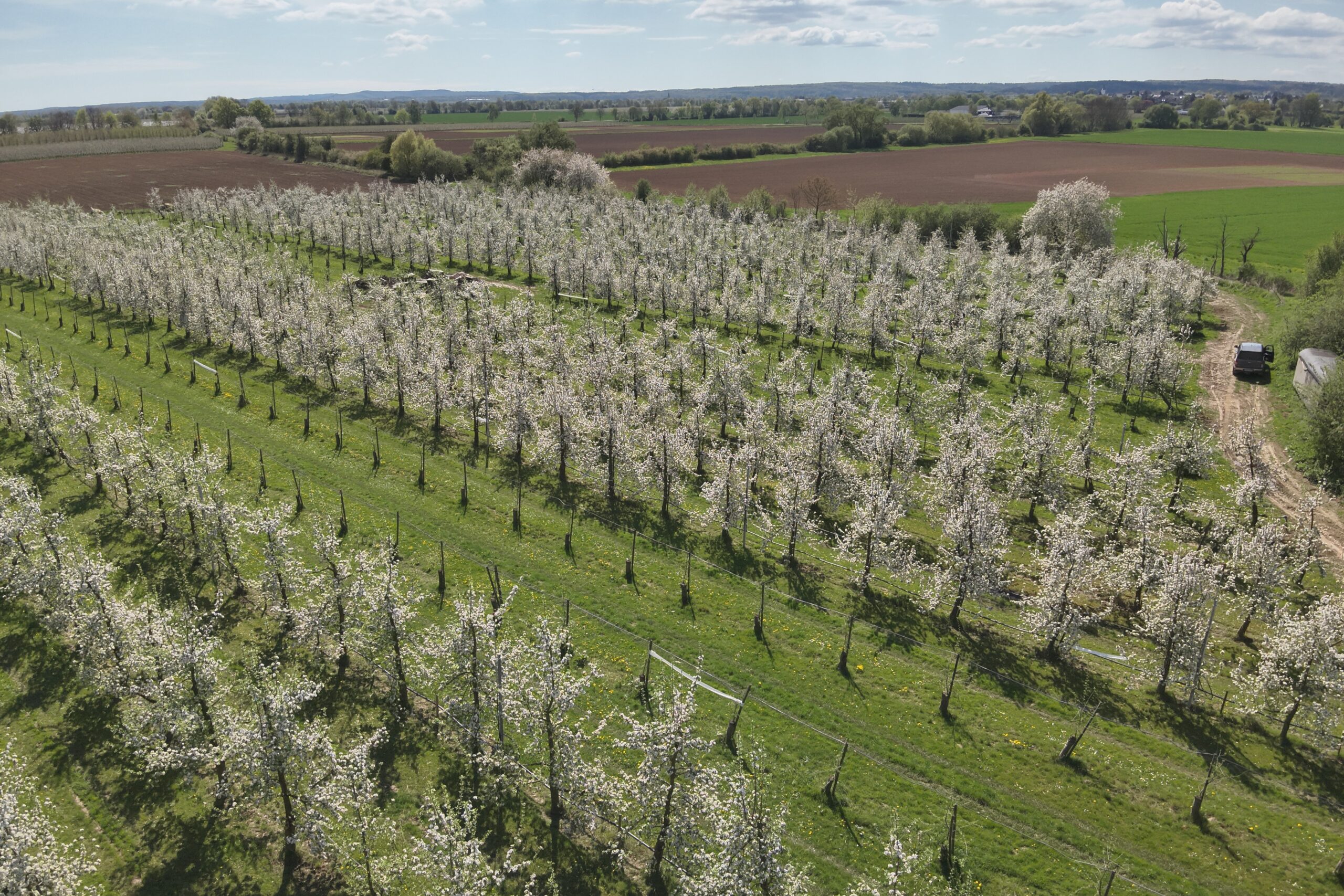 Kraemer-DJI-4