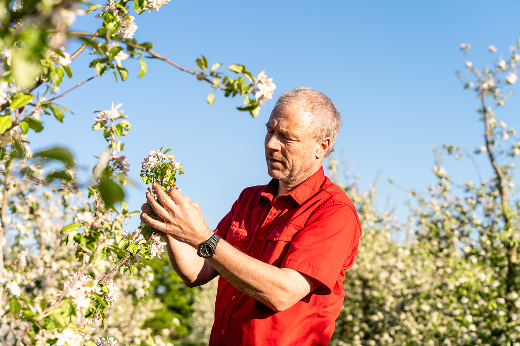 Obstplantagen Krämer